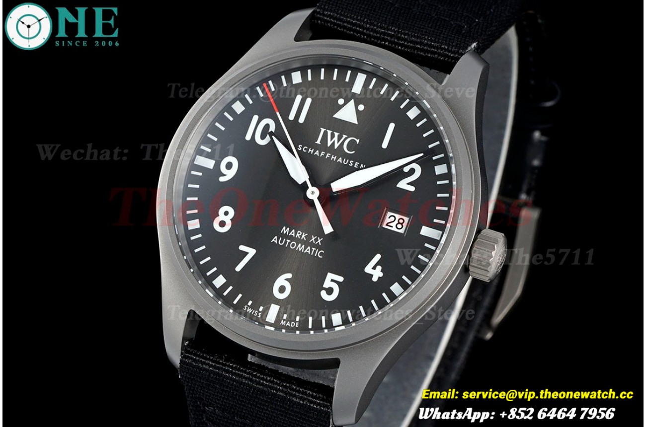 Pilot Mark XX 40mm TI/LE Grey Dial M+ MY9015