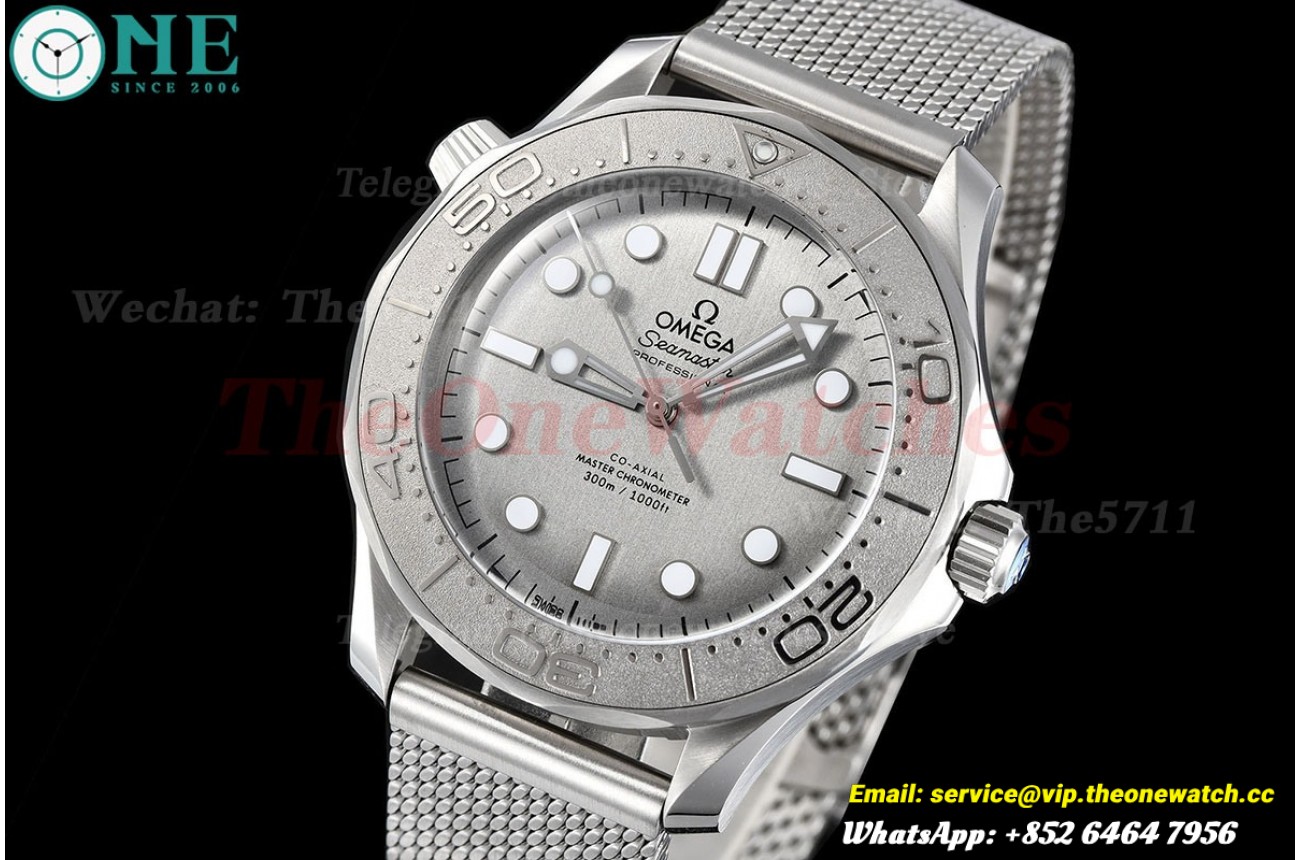 Seamaster 300m 2024 42mm SS/SS Silver Dial VSF VS8806