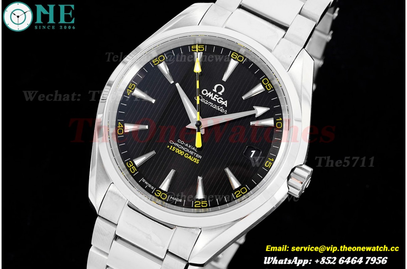 Aqua Terra 15000 Gauss Anti-Mg 41mm SS/SS VSF A8500