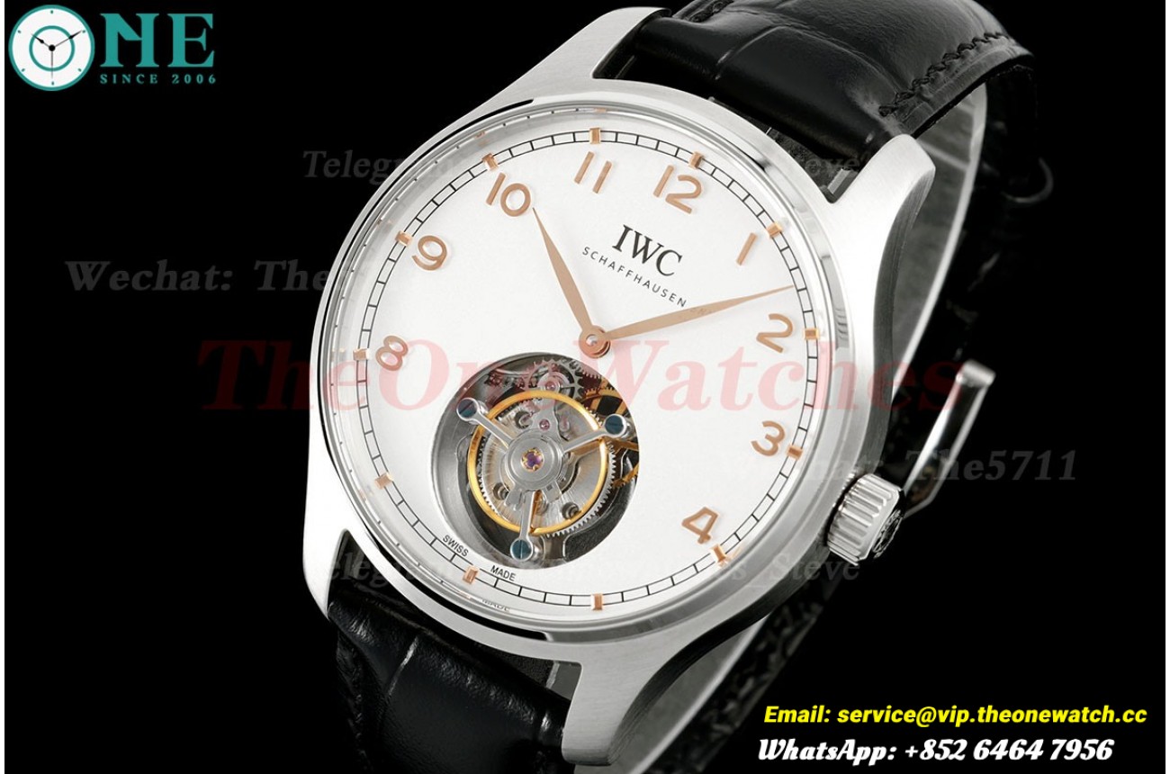 Portugieser IW545 42.4mm SS/LE White Dial RMSF Tourb