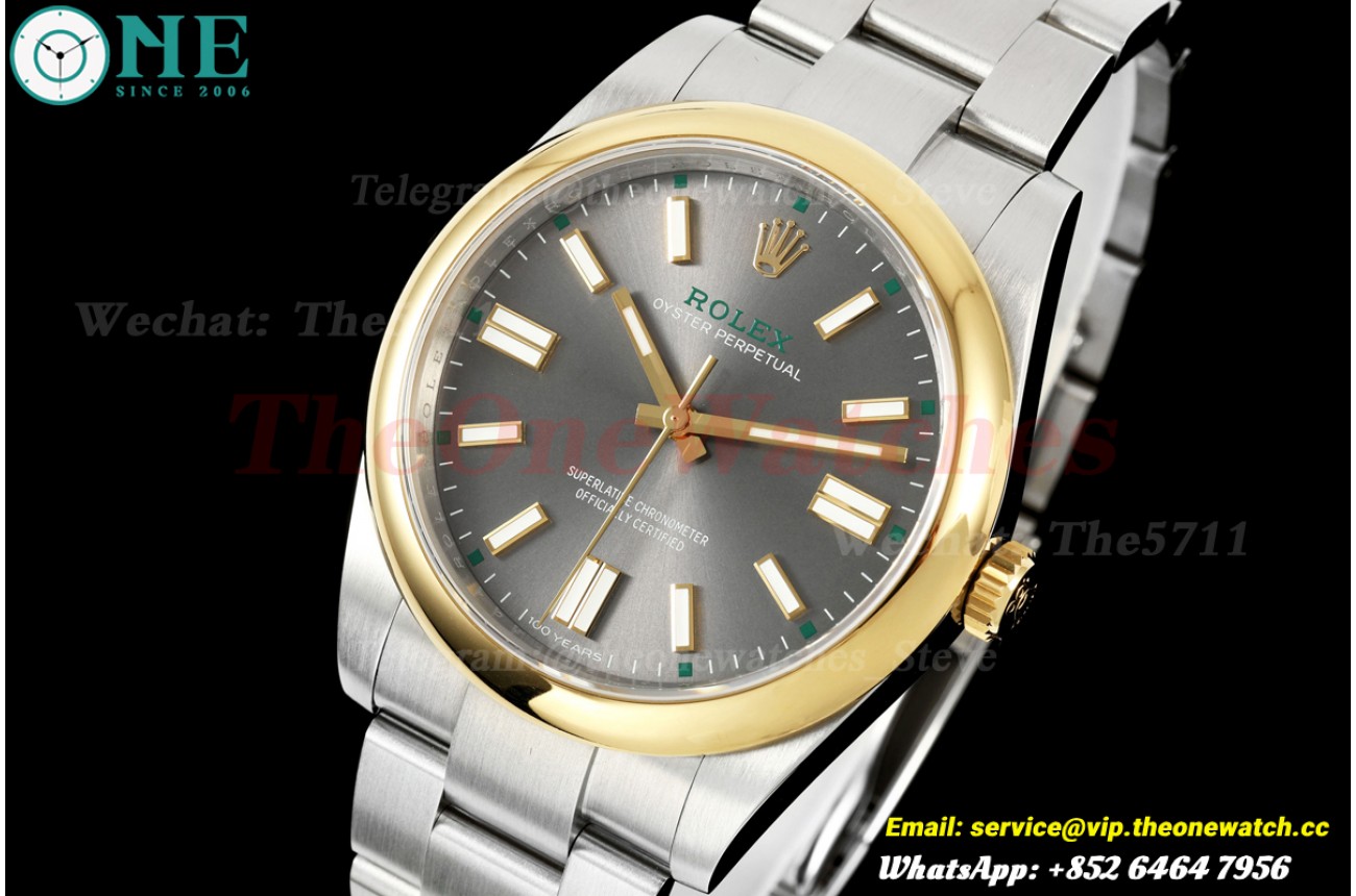 Oyster Perpetual 100th Anniversary 134300 41mm SS/SS Grey Dial QF SH3230