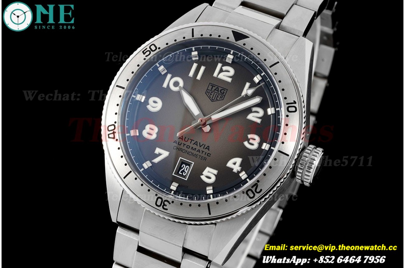 Autavia 42mm SS/SS Gradient Grey TARF SW200