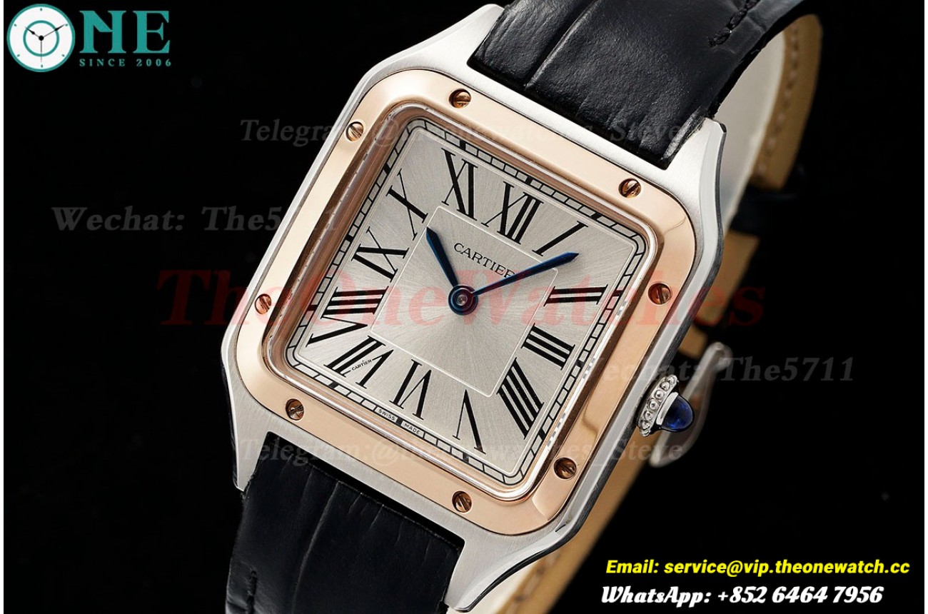 Santos Dumont Blk RG/LE Silver Dial AF Quartz