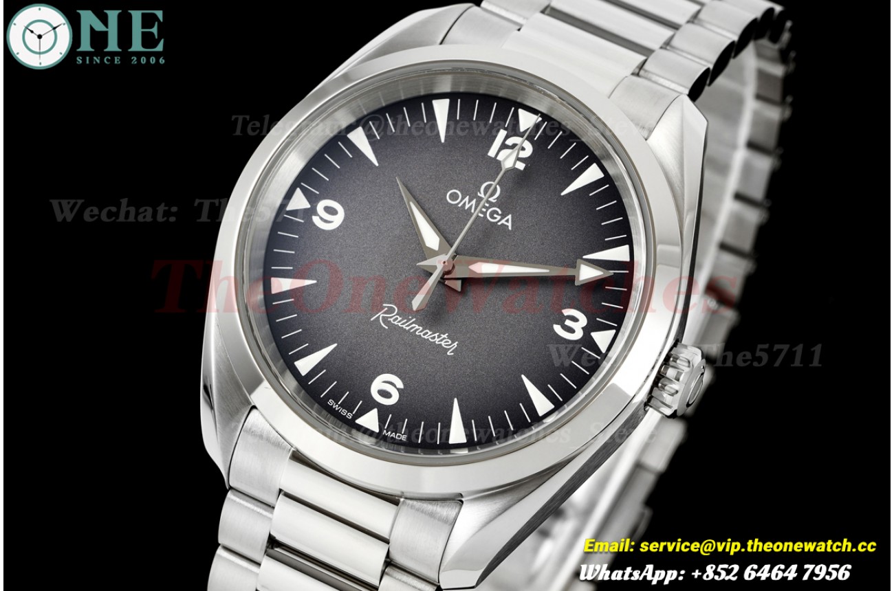 Aqua Terra 38mm SS/SS Grey Dial VSF VS8806