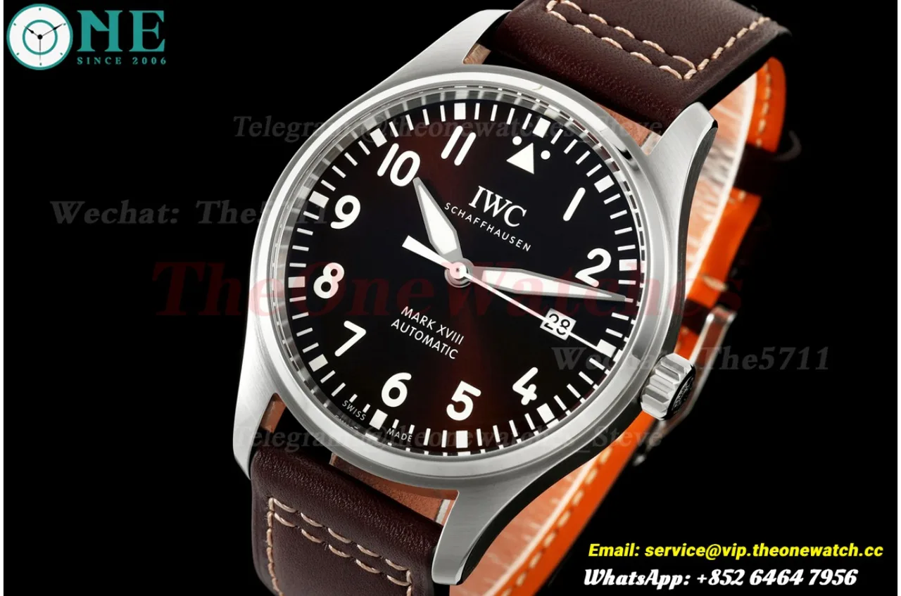 Pilot Mark XVII 40mm SS/LE Brown Dial MZF A2892
