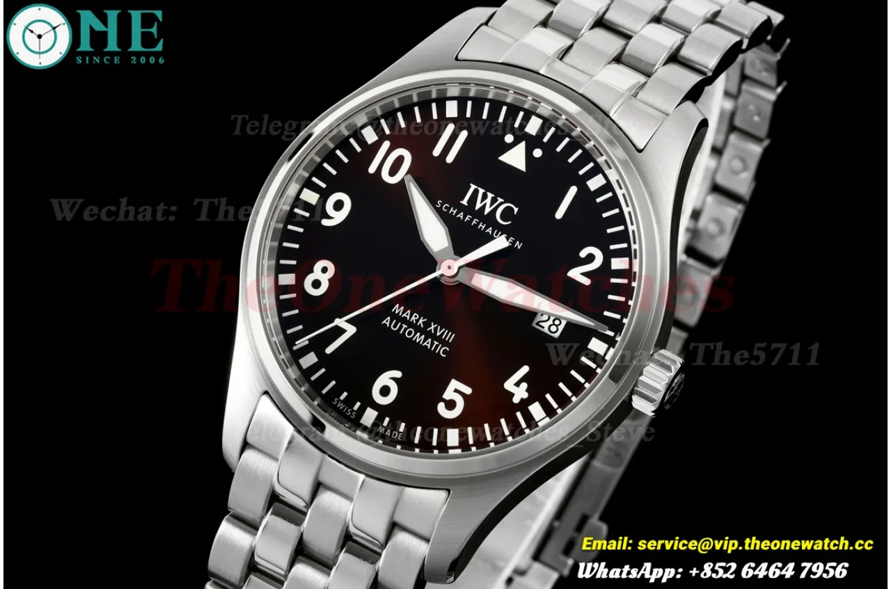 Pilot Mark XVII 40mm SS/SS Black Dial on White Hand MZF A2892