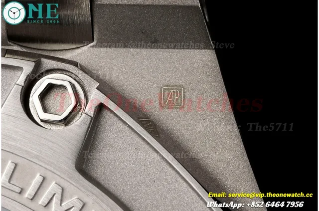 Royal Oak Offshore 44mm Michael Schumacher SS/RU Grey/Blue JJF A3126 — photo 20