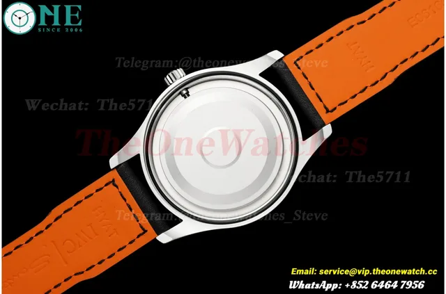 Pilot Mark XVII 40mm SS/LE White Dial MZF A2892 — photo 9