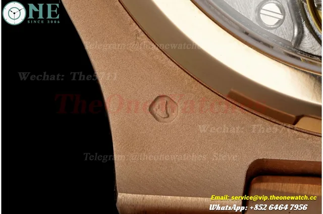 Nautilus 40mm 5712 RG/RG Brown/Stk UMI PPF240 (Weighted Approx.195g)(Free Sprung) — photo 21