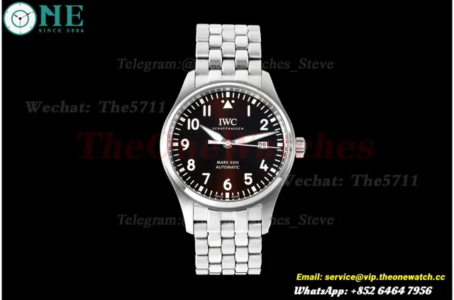 Pilot Mark XVII 40mm SS/SS Black Dial on White Hand MZF A2892 — photo 4