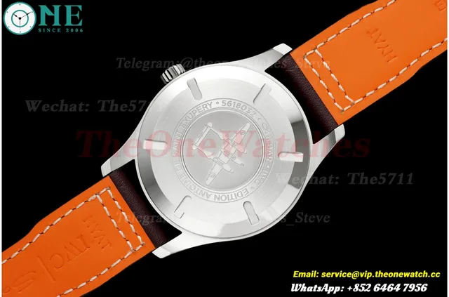 Pilot Mark XVII 40mm SS/LE Brown Dial MZF A2892 — photo 8