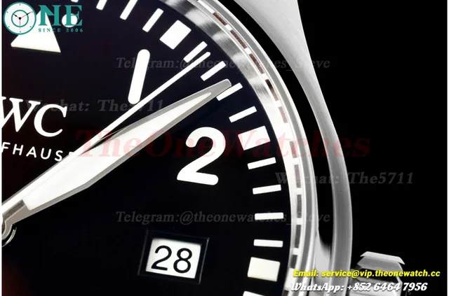 Pilot Mark XVII 40mm SS/LE Brown Dial MZF A2892 — photo 5