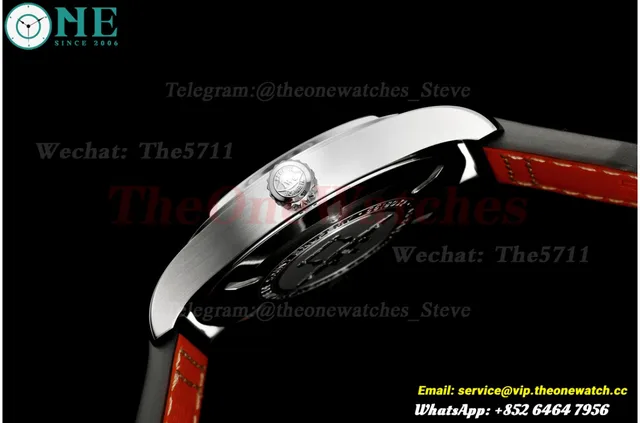 Pilot Mark XVII 40mm SS/LE Brown Dial MZF A2892 — photo 6