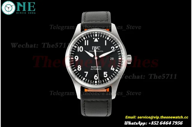 Pilot Mark XVII 40mm SS/LE Black Dial MZF A2892 — photo 4