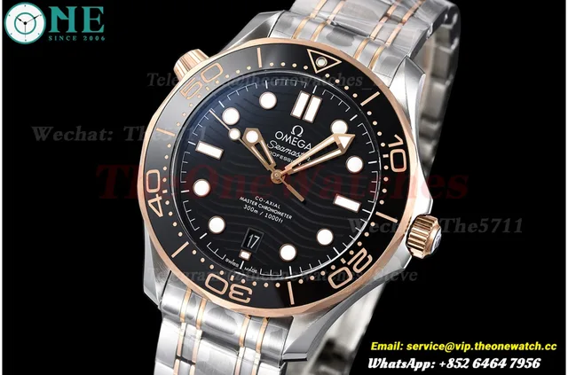 Seamaster 300m 2019 RG/SS Black VSF VS8800