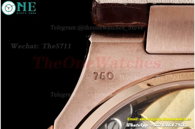 Nautilus 40mm 5712 RG/LE Grey/Stk PPF A240 — photo 15