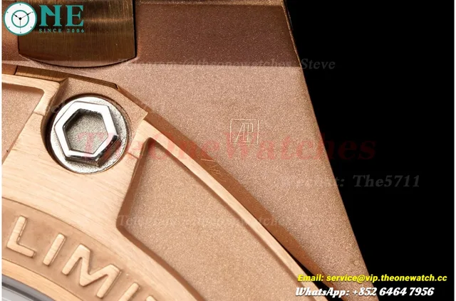 Royal Oak Offshore 44mm Michael Schumacher RG/RU Grey/Black JJF A3126 — photo 20