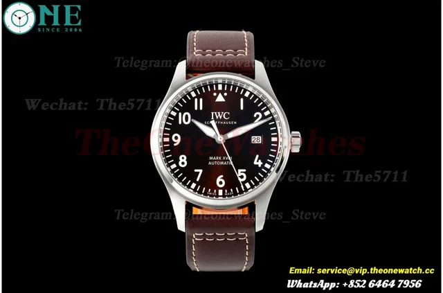 Pilot Mark XVII 40mm SS/LE Brown Dial MZF A2892 — photo 4