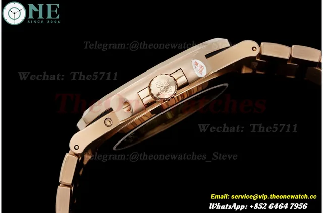 Nautilus 40mm 5712 RG/RG Brown/Stk UMI PPF240 (Weighted Approx.195g)(Free Sprung) — photo 10