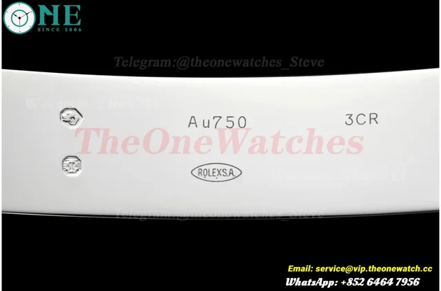 DayDate 228239 40mm SS/SS Blue/Rmn VSF V2 DD3255 (Gain Weight) — photo 35