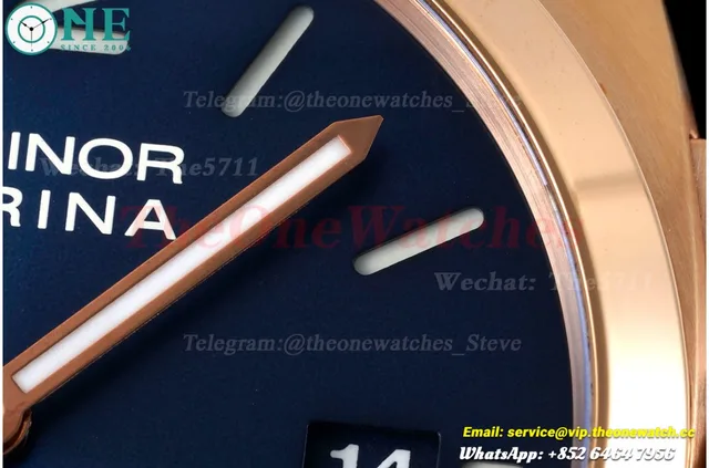 PAM1112 Lum. Marina 44mm RG/LE Blue VSF P9010 — photo 6