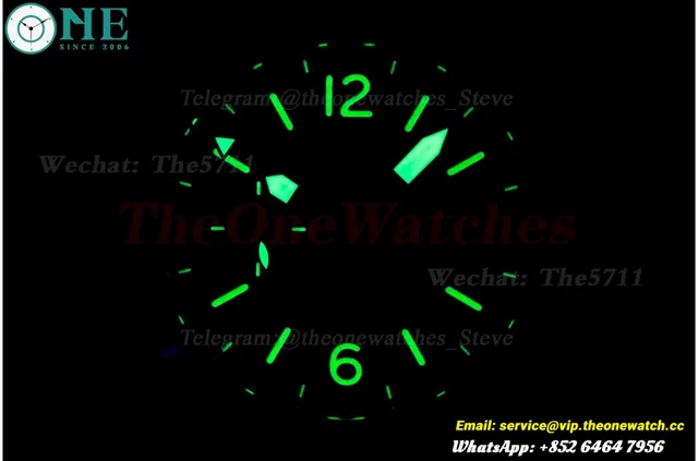 Luminor GMT PAM088 44mm SS/LE Black//Stk VSF OPVIII — photo 36